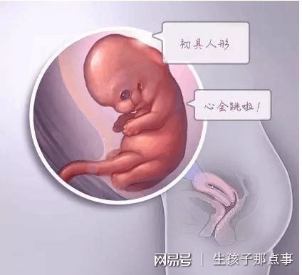 妇科